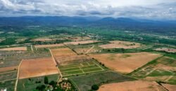 Lotes a solo 800 metros de Playa El Puertecito/ Fraccionamiento Rancho Las Palmas