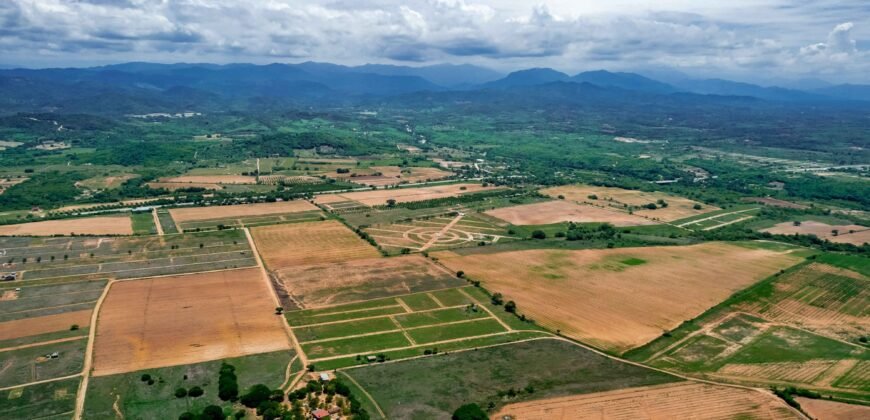 Lotes a solo 800 metros de Playa El Puertecito/ Fraccionamiento Rancho Las Palmas