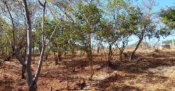 Lotes a solo 8 min del Santuario de la Tortuga en Escobilla/ Fraccionamiento Pedregal