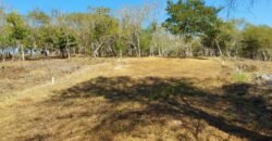 Lotes a solo 8 min del Santuario de la Tortuga en Escobilla/ Fraccionamiento Pedregal