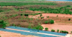 Lotes a solo 5 min de Playa El Tomatal y Playa Rosedal/ Fraccionamiento Vive Mar