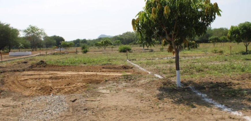Lotes en Playa Azul a 120 metros de la Playa/ Residencial ZULL