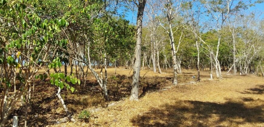 Lotes a solo 8 min del Santuario de la Tortuga en Escobilla/ Fraccionamiento Pedregal