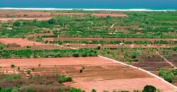 Lotes a solo 5 min de Playa El Tomatal y Playa Rosedal/ Fraccionamiento Vive Mar