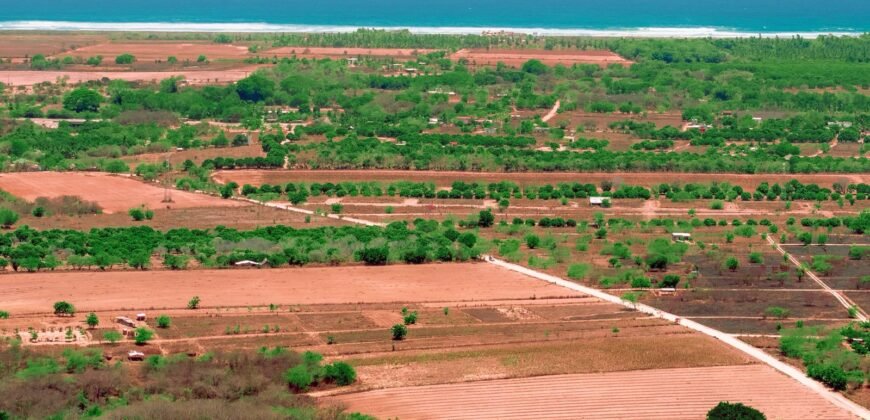 Lotes a solo 5 min de Playa El Tomatal y Playa Rosedal/ Fraccionamiento Vive Mar
