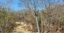 Lotes a 10 minutos de Playa el Puertecito/ Fraccionamiento Primavera