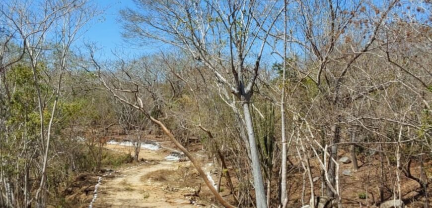 Lotes a 10 minutos de Playa el Puertecito/ Fraccionamiento Primavera