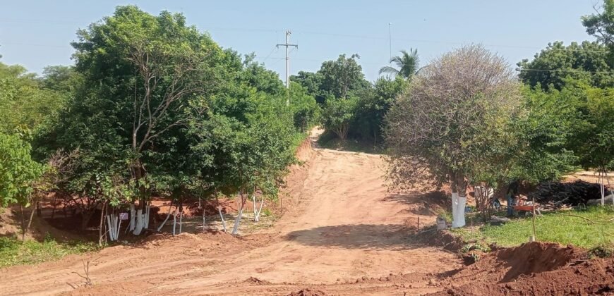 Lotes a 5 min del Mirador de Guapinol/ Fraccionamiento Sirio