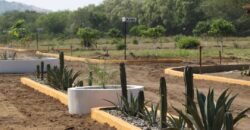 Lotes en Playa Azul a 120 metros de la Playa/ Residencial ZULL