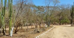 Lotes a 10 minutos de Playa el Puertecito/ Fraccionamiento Primavera