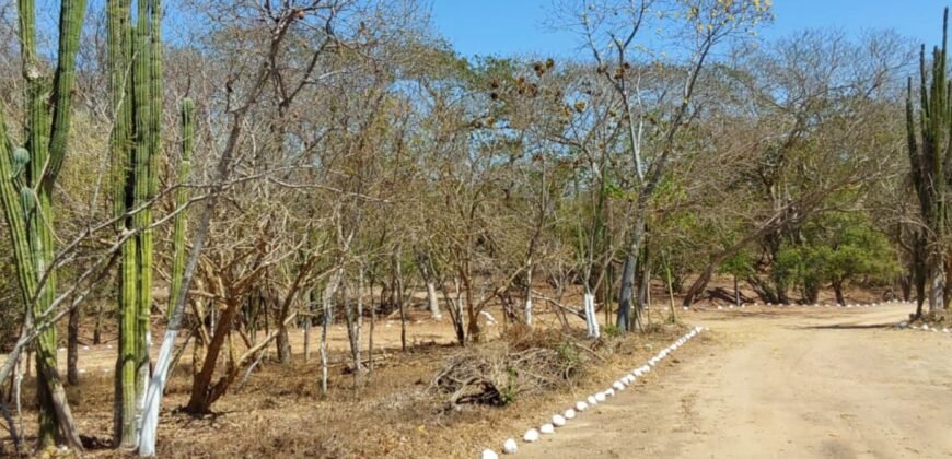 Lotes a 10 minutos de Playa el Puertecito/ Fraccionamiento Primavera