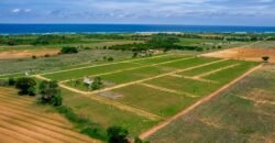 Lotes a solo 800 metros de Playa El Puertecito/ Fraccionamiento Rancho Las Palmas