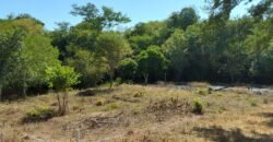 Lotes a solo 8 min del Santuario de la Tortuga en Escobilla/ Fraccionamiento Pedregal