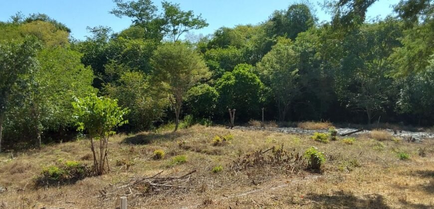 Lotes a solo 8 min del Santuario de la Tortuga en Escobilla/ Fraccionamiento Pedregal