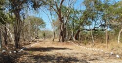 Lotes a 10 minutos de Playa el Puertecito/ Fraccionamiento Primavera