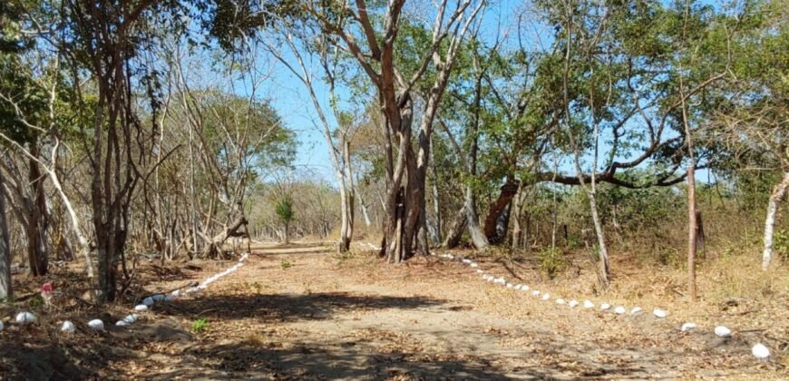 Lotes a 10 minutos de Playa el Puertecito/ Fraccionamiento Primavera