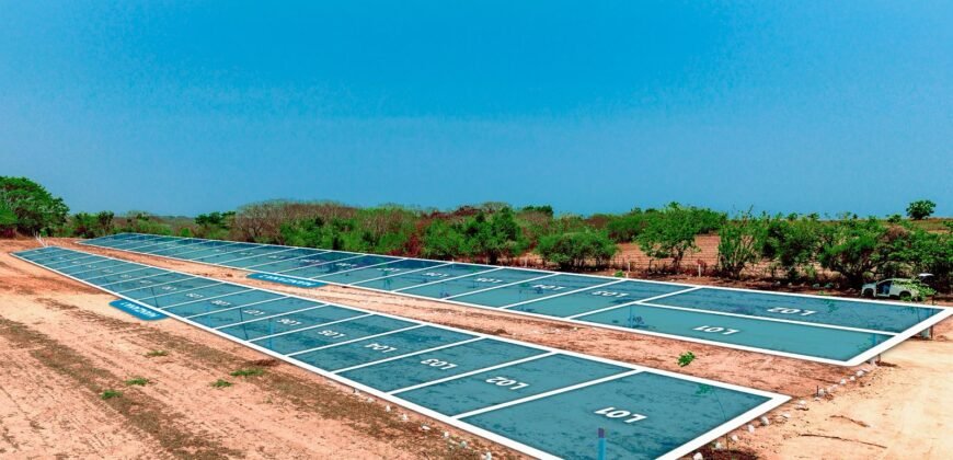 Lotes a solo 5 min de Playa El Tomatal y Playa Rosedal/ Fraccionamiento Vive Mar