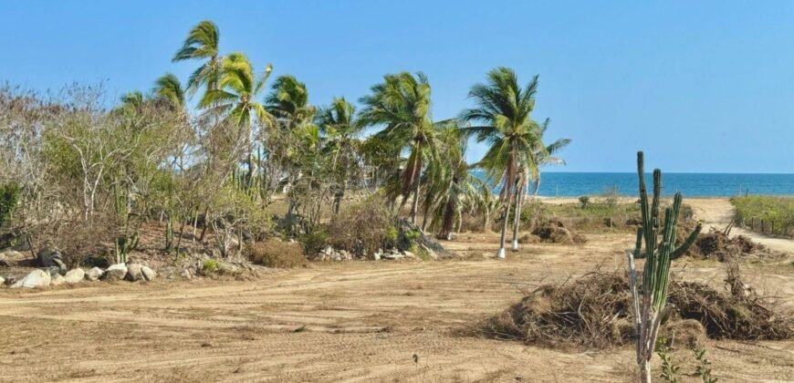 Lotes a sólo 70 metros de la Playa/ Residencial Biósfera