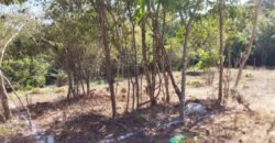 Lotes a solo 8 min del Santuario de la Tortuga en Escobilla/ Fraccionamiento Pedregal