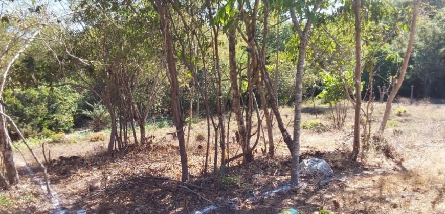 Lotes a solo 8 min del Santuario de la Tortuga en Escobilla/ Fraccionamiento Pedregal