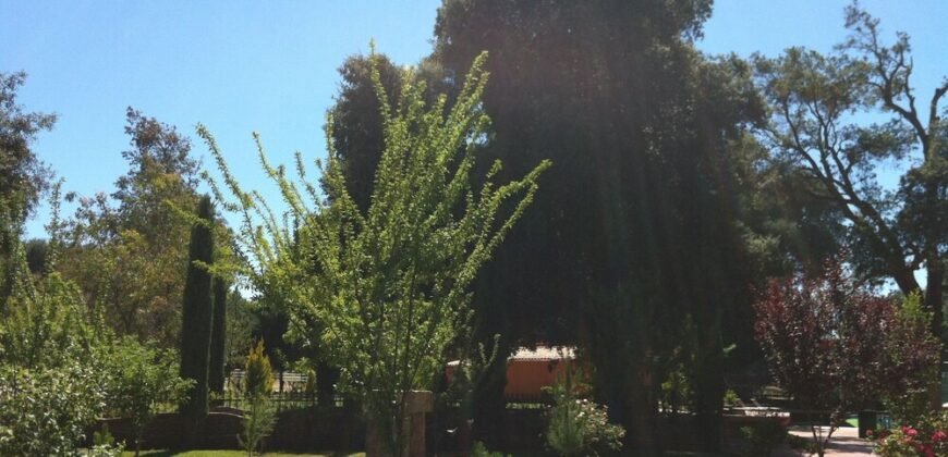 ✅Venta Terreno Campestre 2412 m2 en Rancho Santa Verónica , Tecate