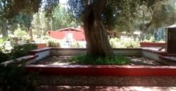 ✅Venta Terreno Campestre 2412 m2 en Rancho Santa Verónica , Tecate