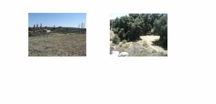 ✅Venta Terreno Campestre 2412 m2 en Rancho Santa Verónica , Tecate