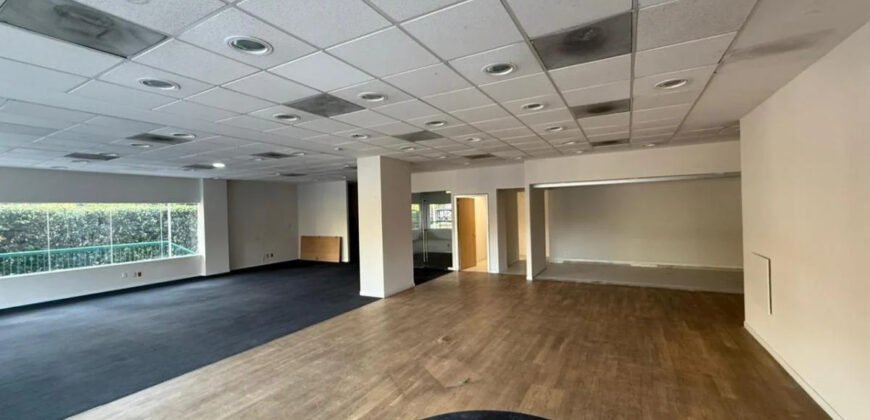 SE RENTA LOCAL COMERCIAL