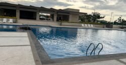 SAN JUAN 04 LA PRIMAVERA