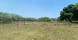 Terreno en venta 3079 mt2!! 🚨 Plusvalía y bien ubicado, a un lado del Aeropuerto y 15 minutos de Villahermosa!! Ra. La Palma, Vhsa, Tab. 🏠 💲4,090,000.00