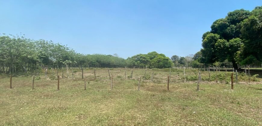 Terreno en venta 3079 mt2!! 🚨 Plusvalía y bien ubicado, a un lado del Aeropuerto y 15 minutos de Villahermosa!! Ra. La Palma, Vhsa, Tab. 🏠 💲4,090,000.00