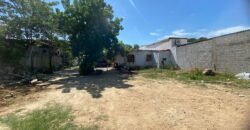 Terreno amplio con palapa y casa/oficina en venta, 1,542.61 mt2!! 🚨 Gran oportunidad!!!, Carr. 20 de Nov. S/N Sabina, Vhsa, Tab. 🏠 $6,170,000