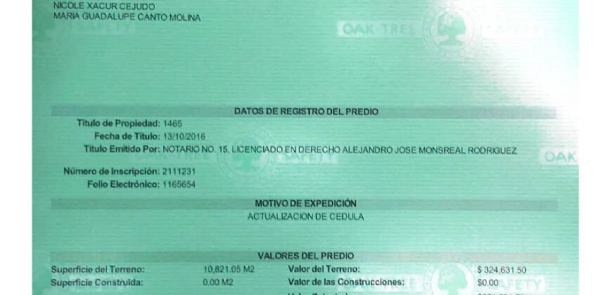 Terreno a 15 minutos de Mérida y 33 minutos de la playa