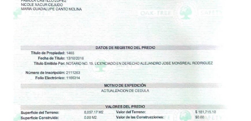 Terreno a 15 minutos de Mérida y 33 minutos de la playa