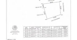 Terreno a 15 minutos de Mérida y 33 minutos de la playa