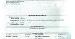 Terreno a 15 minutos de Mérida y 33 minutos de la playa