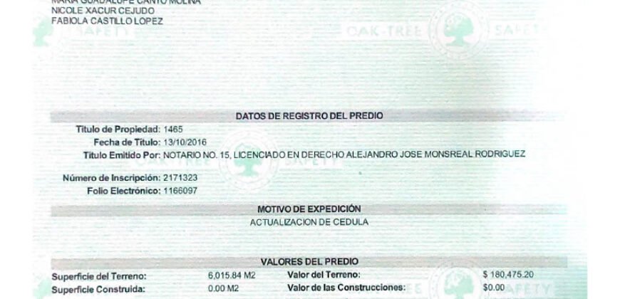 Terreno a 15 minutos de Mérida y 33 minutos de la playa