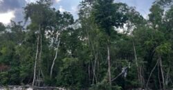 Terreno Escriturado en Venta – Región 15 Tulum | 355 m² con Servicios