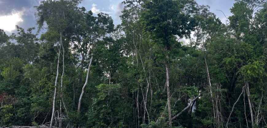 Terreno Escriturado en Venta – Región 15 Tulum | 355 m² con Servicios