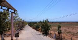 Lotes de terreno a 10 minutos de Puerto Escondido/ Fracc. Paraíso ventanilla