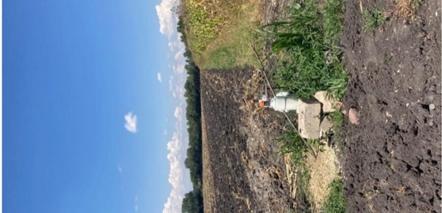 TERRENO