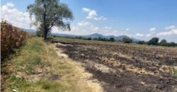 TERRENO