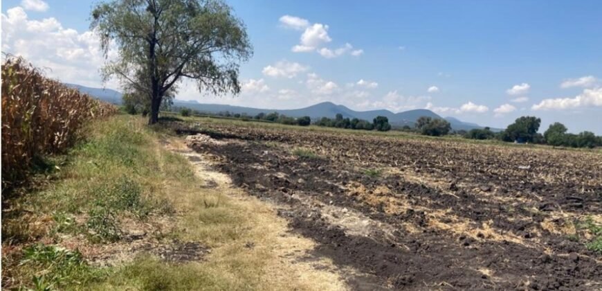 TERRENO
