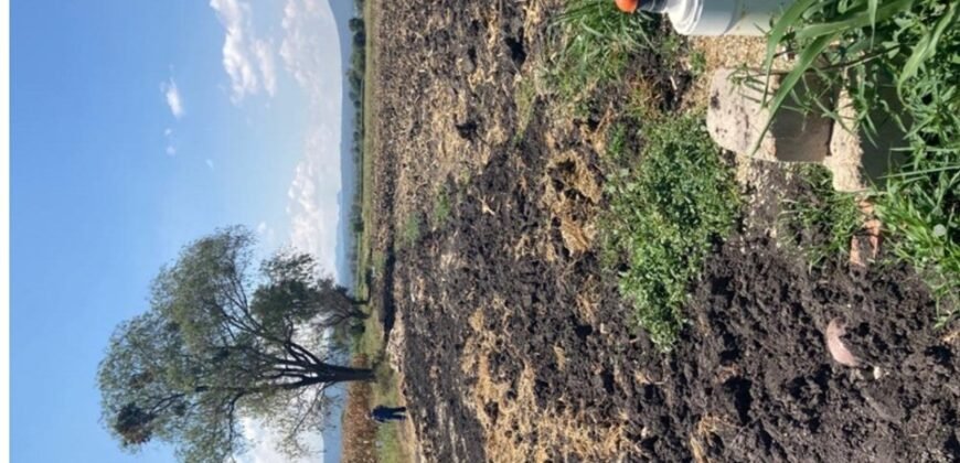 TERRENO