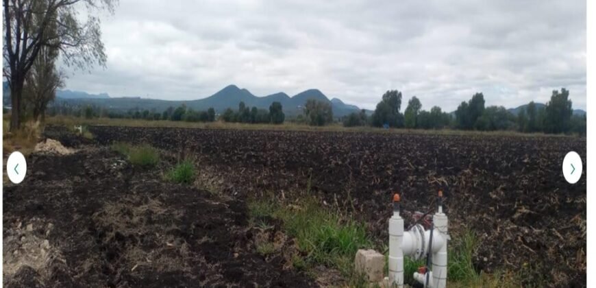 TERRENO