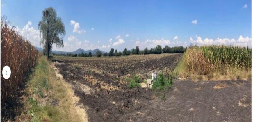 TERRENO