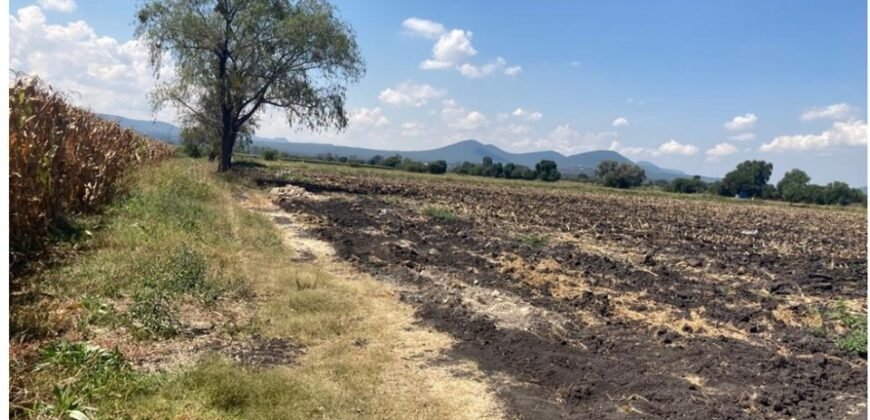 TERRENO