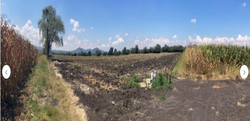 TERRENO