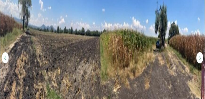 TERRENO
