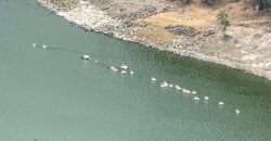 Departamentos de Lujo con Vista a la Presa Madín – San Miguel Kristal Towers, CDMX